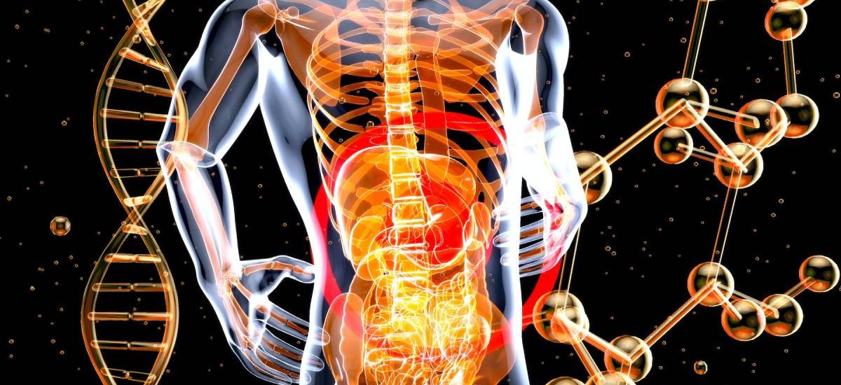 La relación entre la microbiota intestinal y tu salud