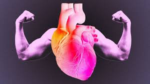 Beneficios del ejercicio cardiovascular que quizás desconoces